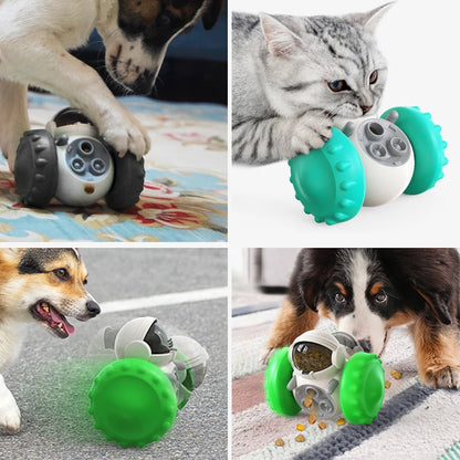 Dog & Cat Puzzle Toy